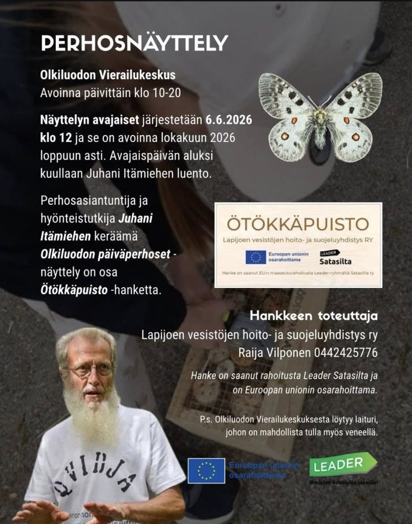 6.6.2026 klo 12 avautuu vierailukeskukseen myös perhosnäyttely Olkuloudon päiväperhosista. Se on avoinna lokakuuhun saakka.